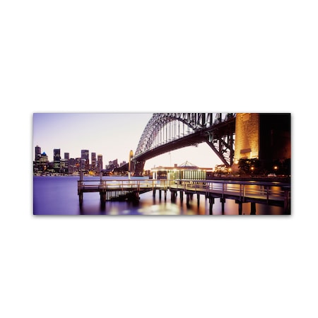 David Evans 'Sydney Harbour' Canvas Art,16x47